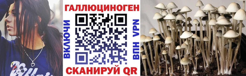 Псилоцибиновые грибы мицелий  Купить  Шебекино 
